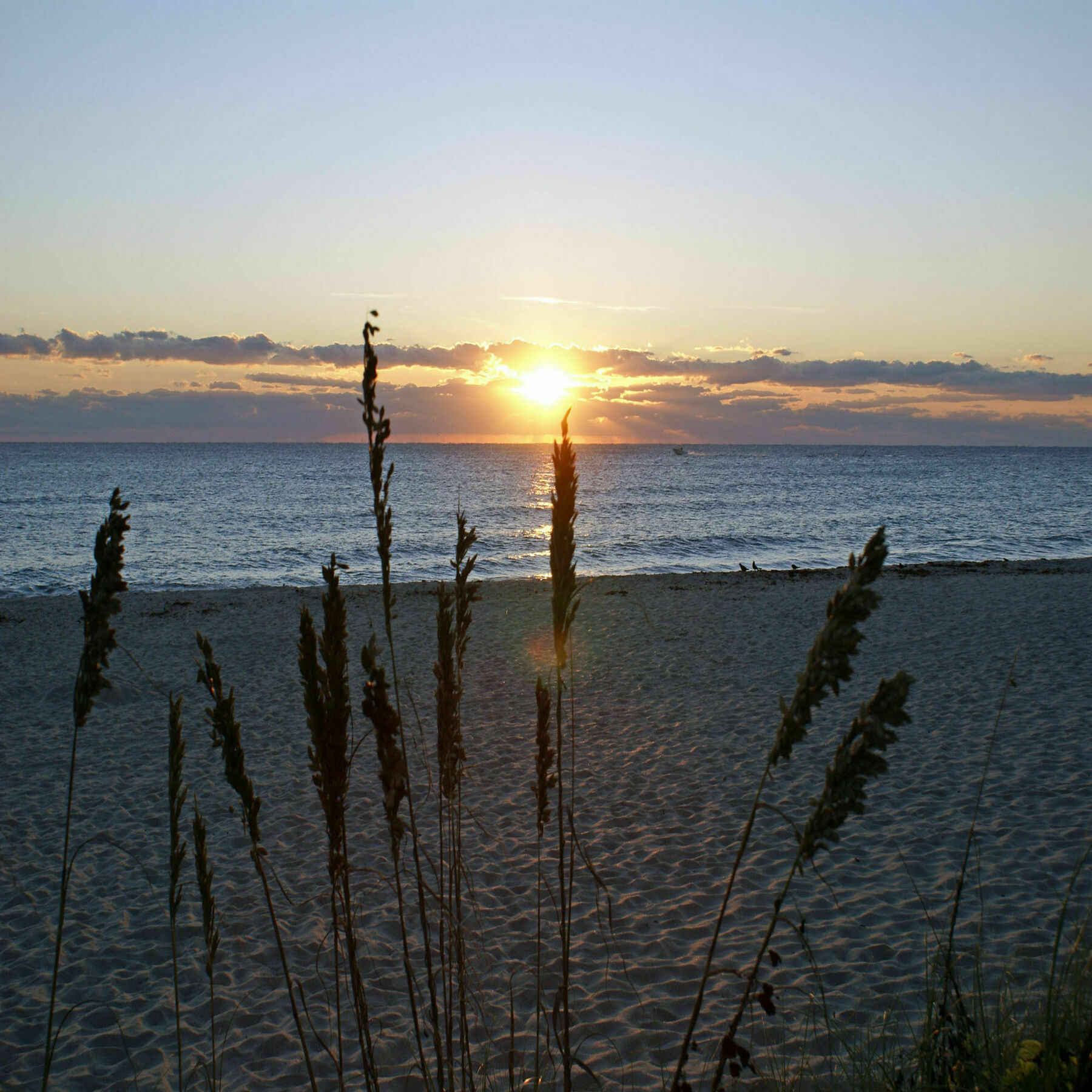 Sabal Palm House Bed And Breakfast Lake Worth Beach Dış mekan fotoğraf